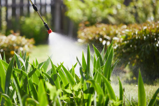24/7 Emergency Mosquito Control experts in Adairsville, GA