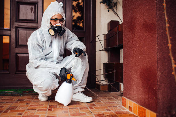 Reliable Mosquito Control contractor in Adairsville, GA by Show Me Pest Control